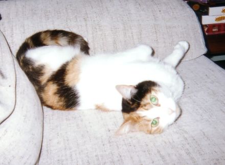 Mimi