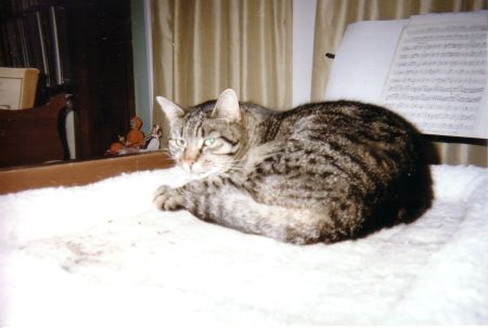 Phoebe
